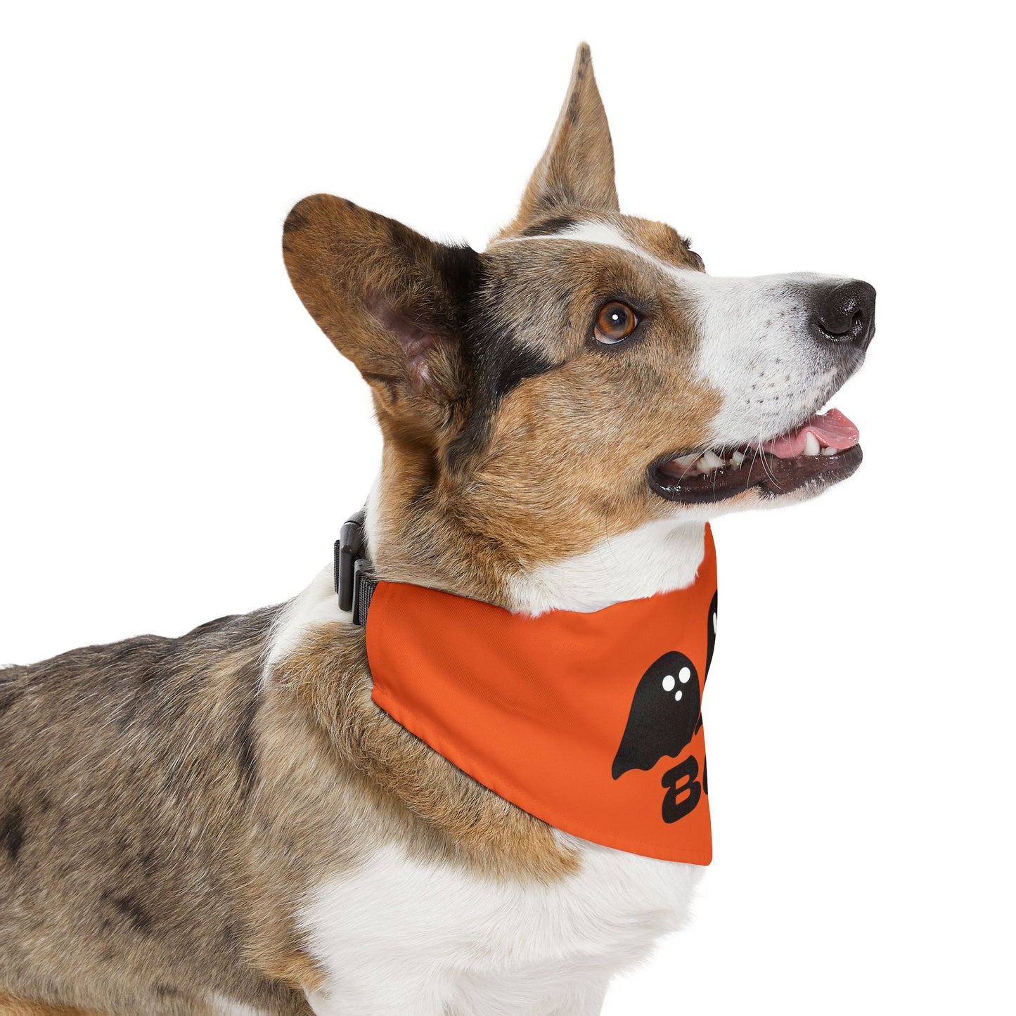 Pet Bandana Collar | "Boo with Ghosts" for Halloween (on Orange)