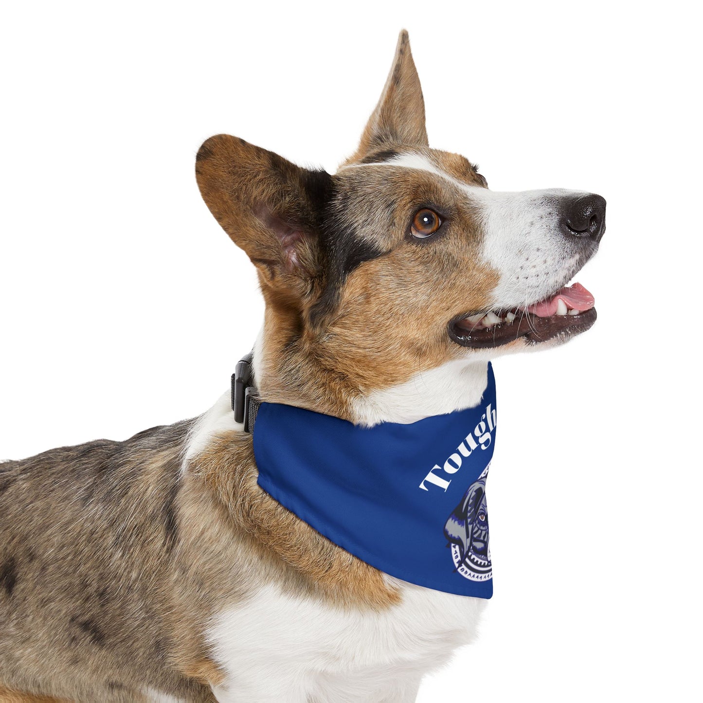 Pet Bandana Collar | "Tough Guy!"