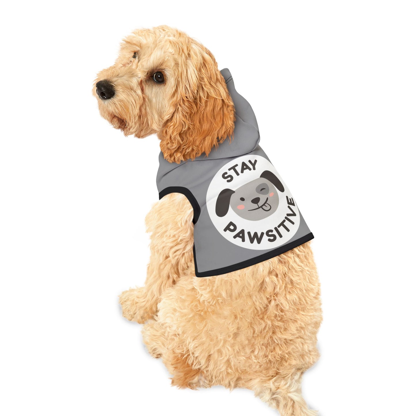 Pet Hoodie | "Stay Pawsitive"