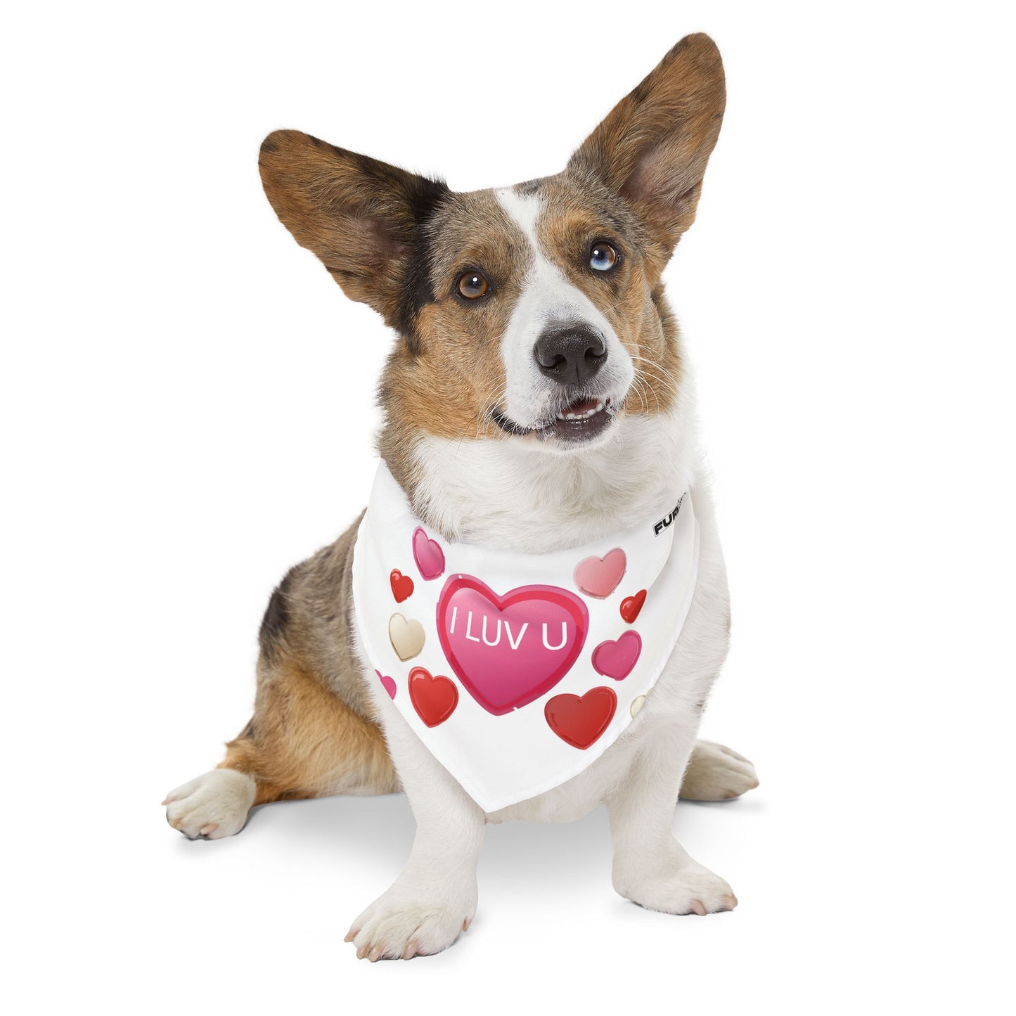 Pet Bandana Collar | "I Luv U" for Valentine's Day
