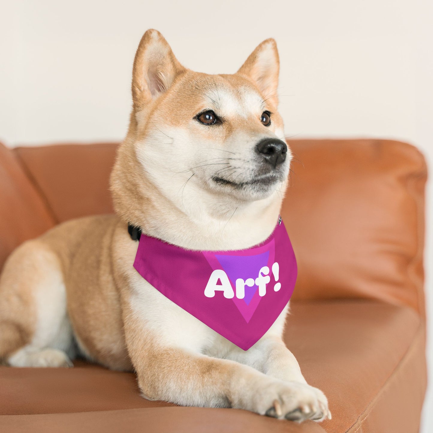 Pet Bandana Collar | "Arf!" (on Pink)