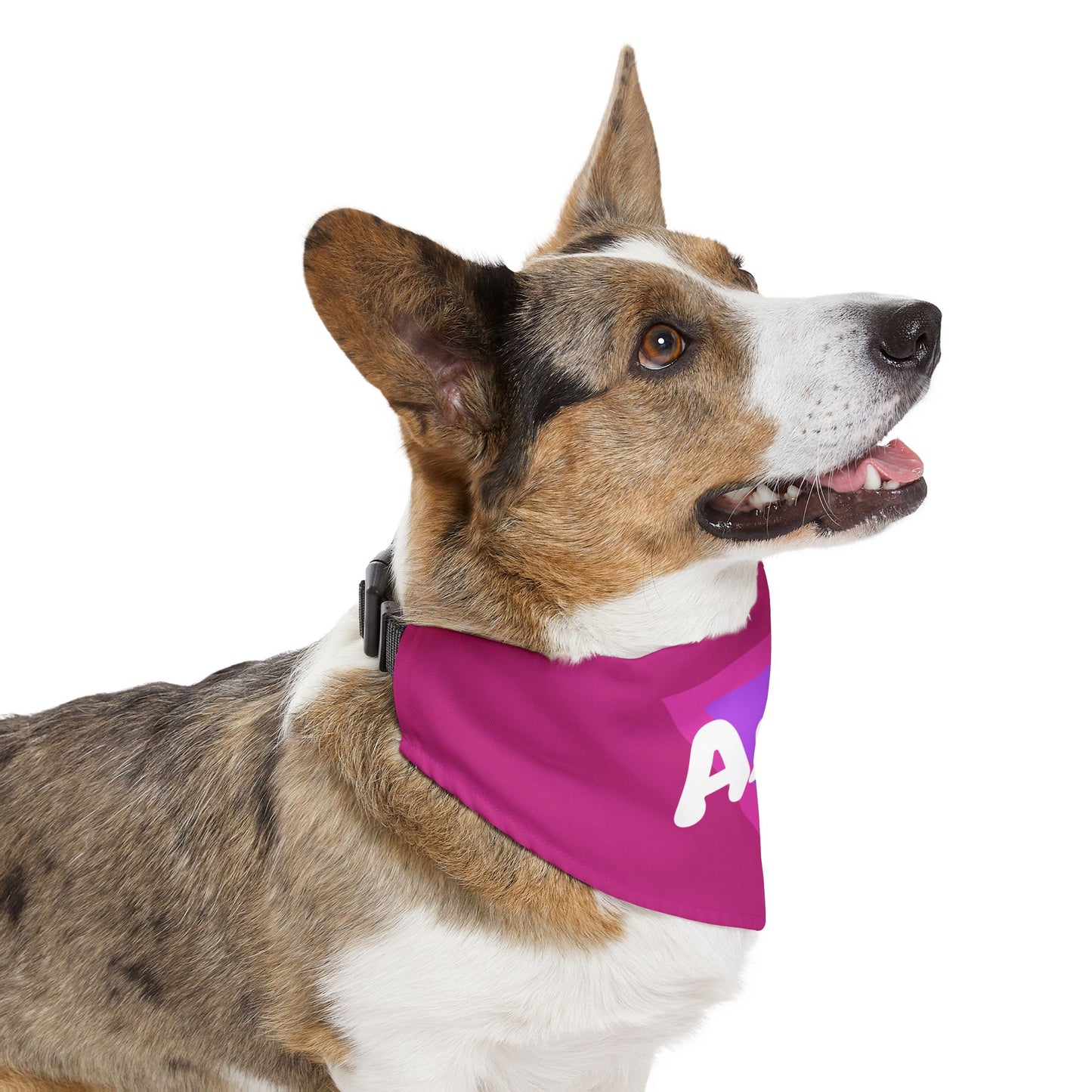 Pet Bandana Collar | "Arf!" (on Pink)