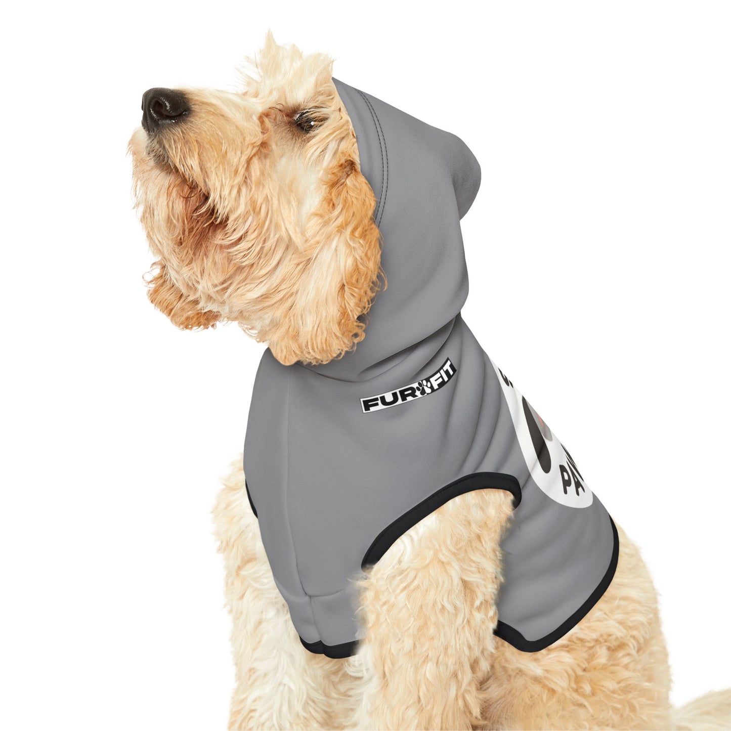 Pet Hoodie | "Stay Pawsitive"
