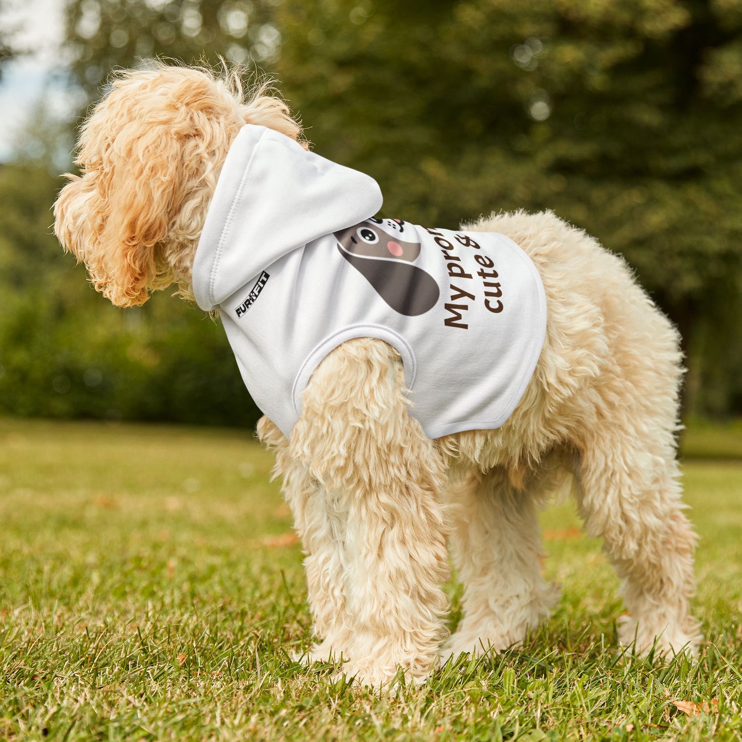 Pet Hoodie | "My pronouns are cute & cuddly"