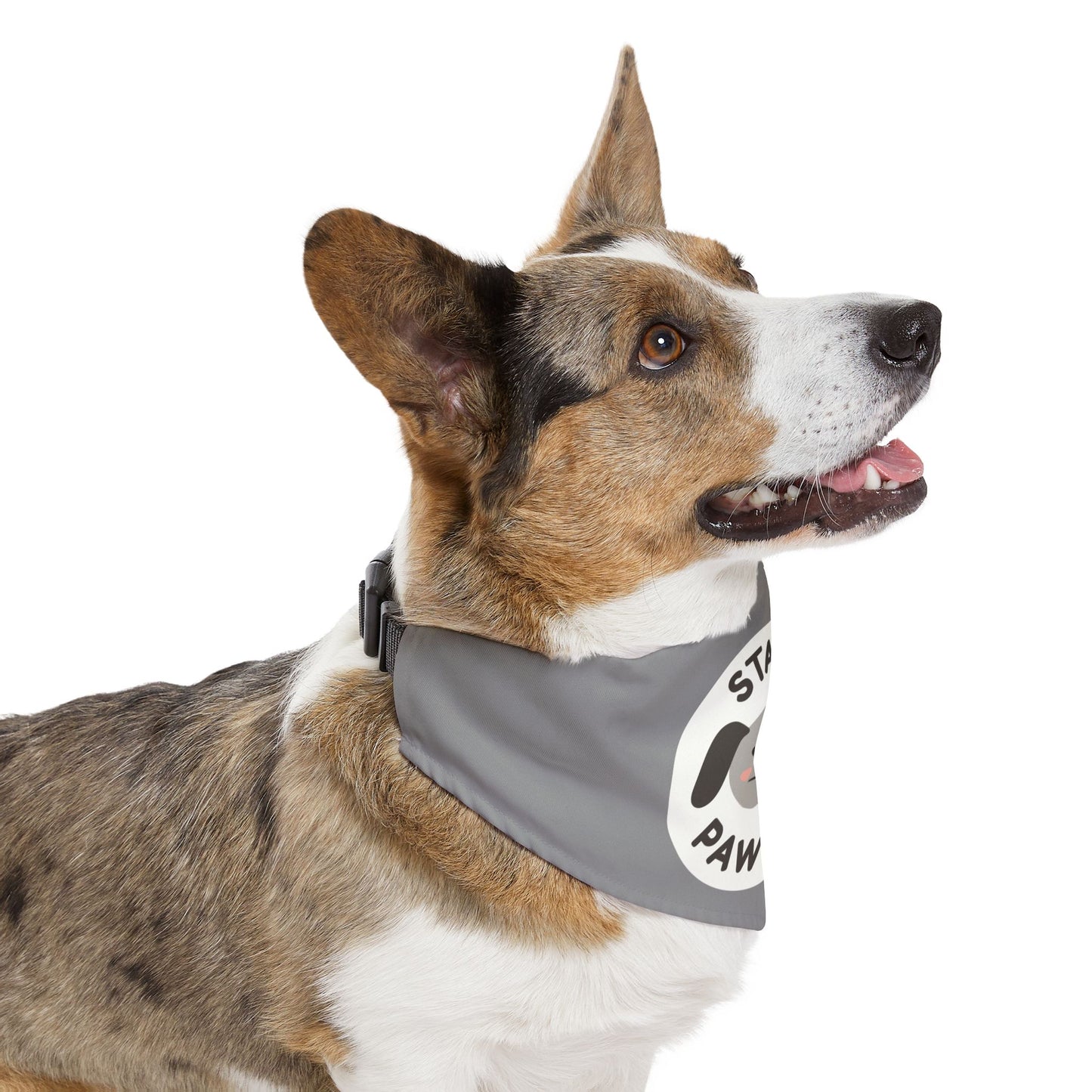 Pet Bandana Collar | "Stay Pawsitive"