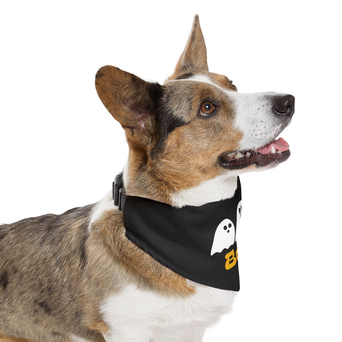 Pet Bandana Collar | "Boo with Ghosts" for Halloween (on black)