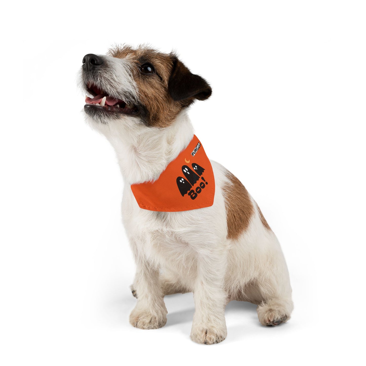 Pet Bandana Collar | "Boo with Ghosts" for Halloween (on Orange)