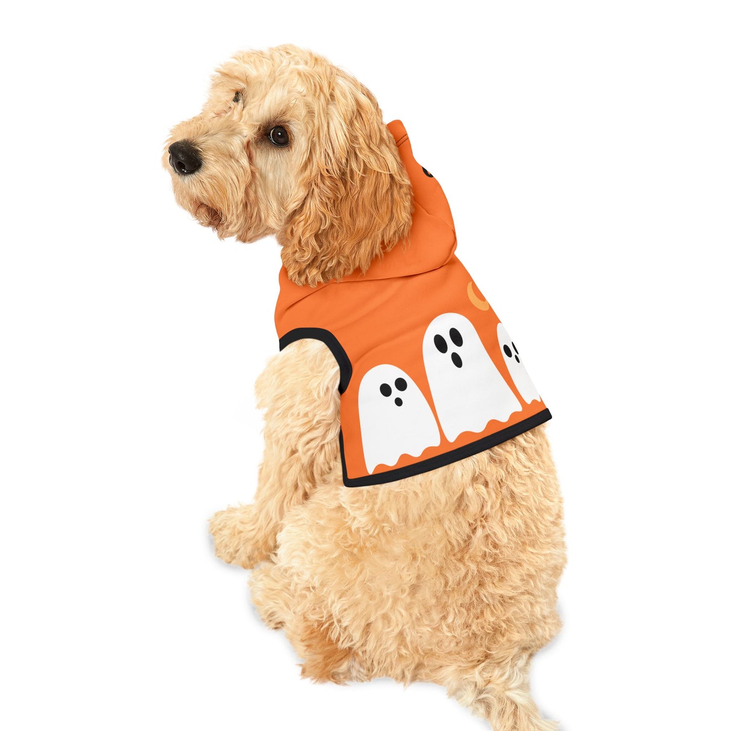 Pet Hoodie | "Trick or Treat" for Halloween (on Orange)