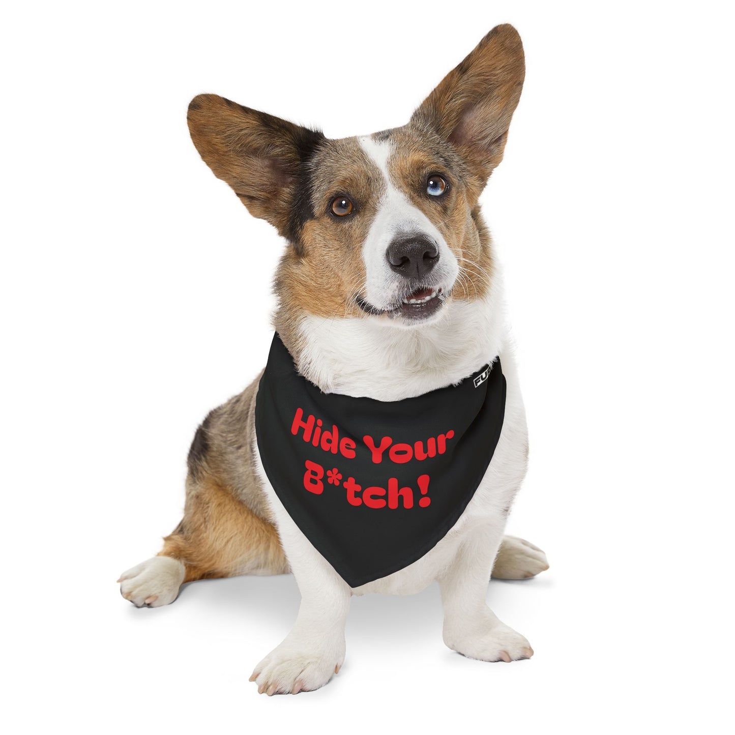 Pet Bandana Collar | "Hide Your B*tch!"