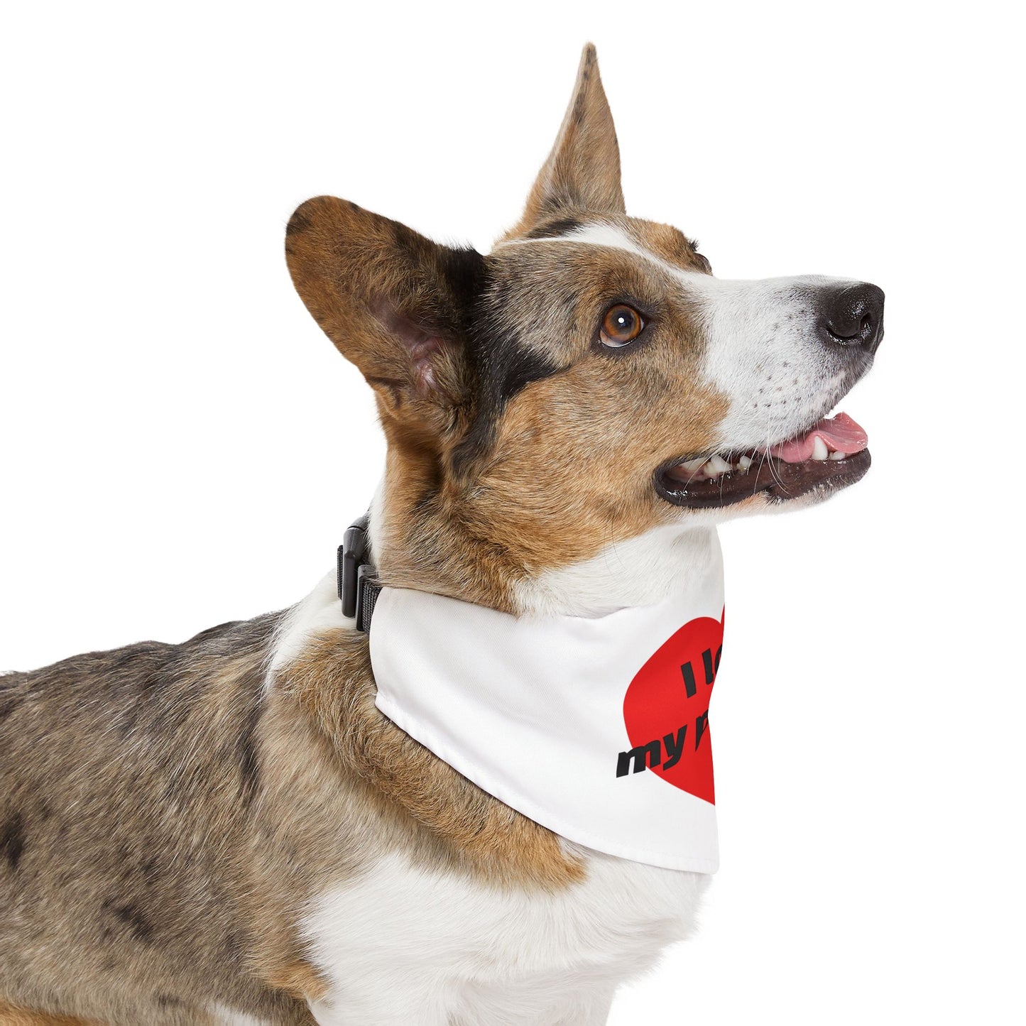 Pet Bandana Collar | "I love my person!"