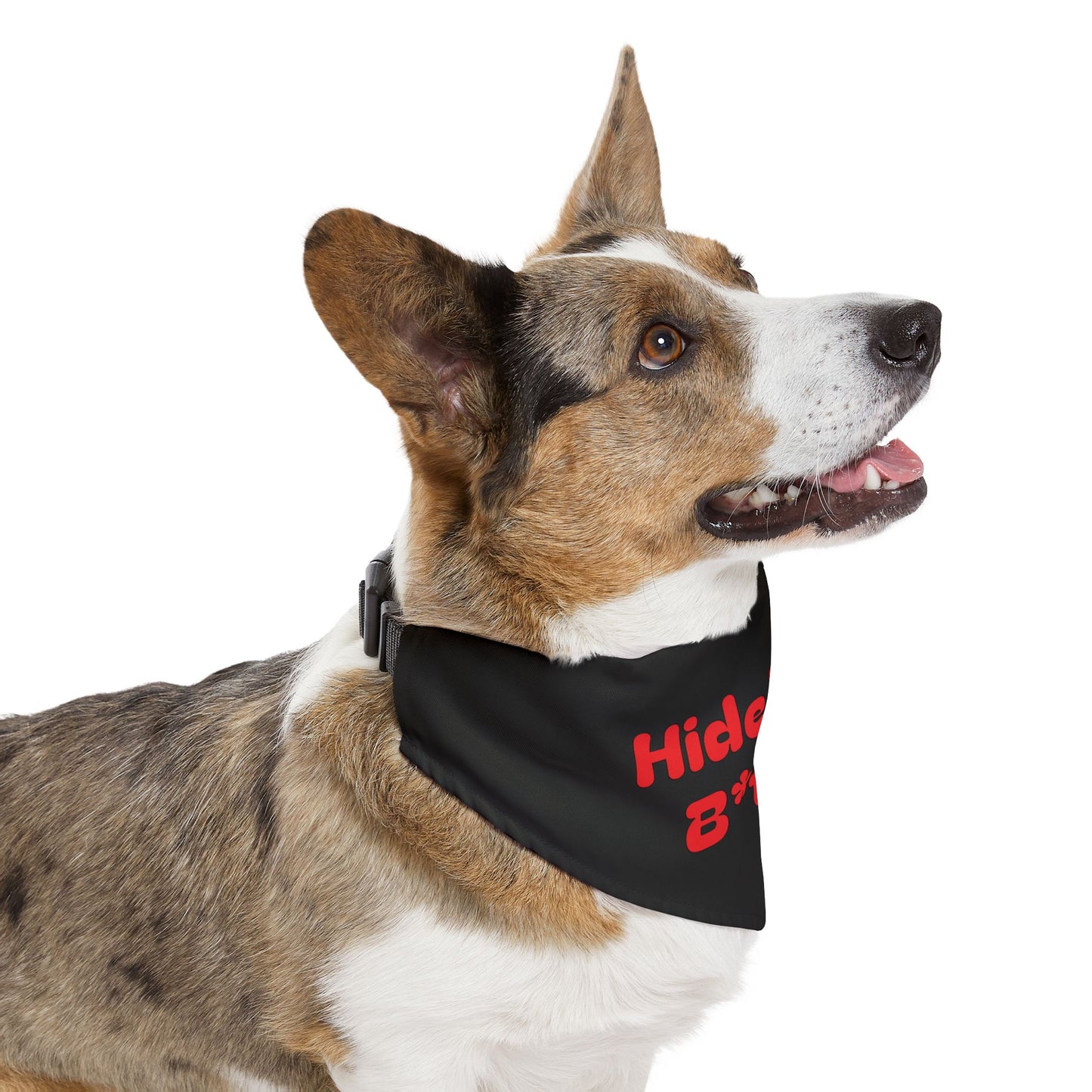 Pet Bandana Collar | "Hide Your B*tch!"