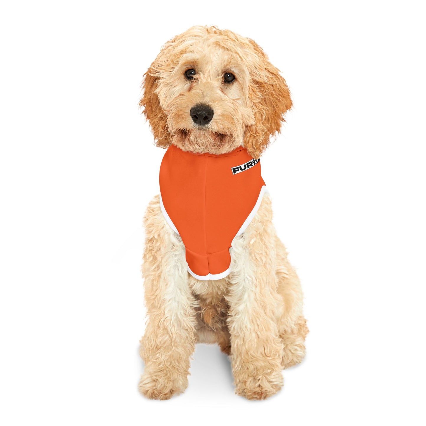 Pet Hoodie | Halloween design with Ghosts (on Orange)