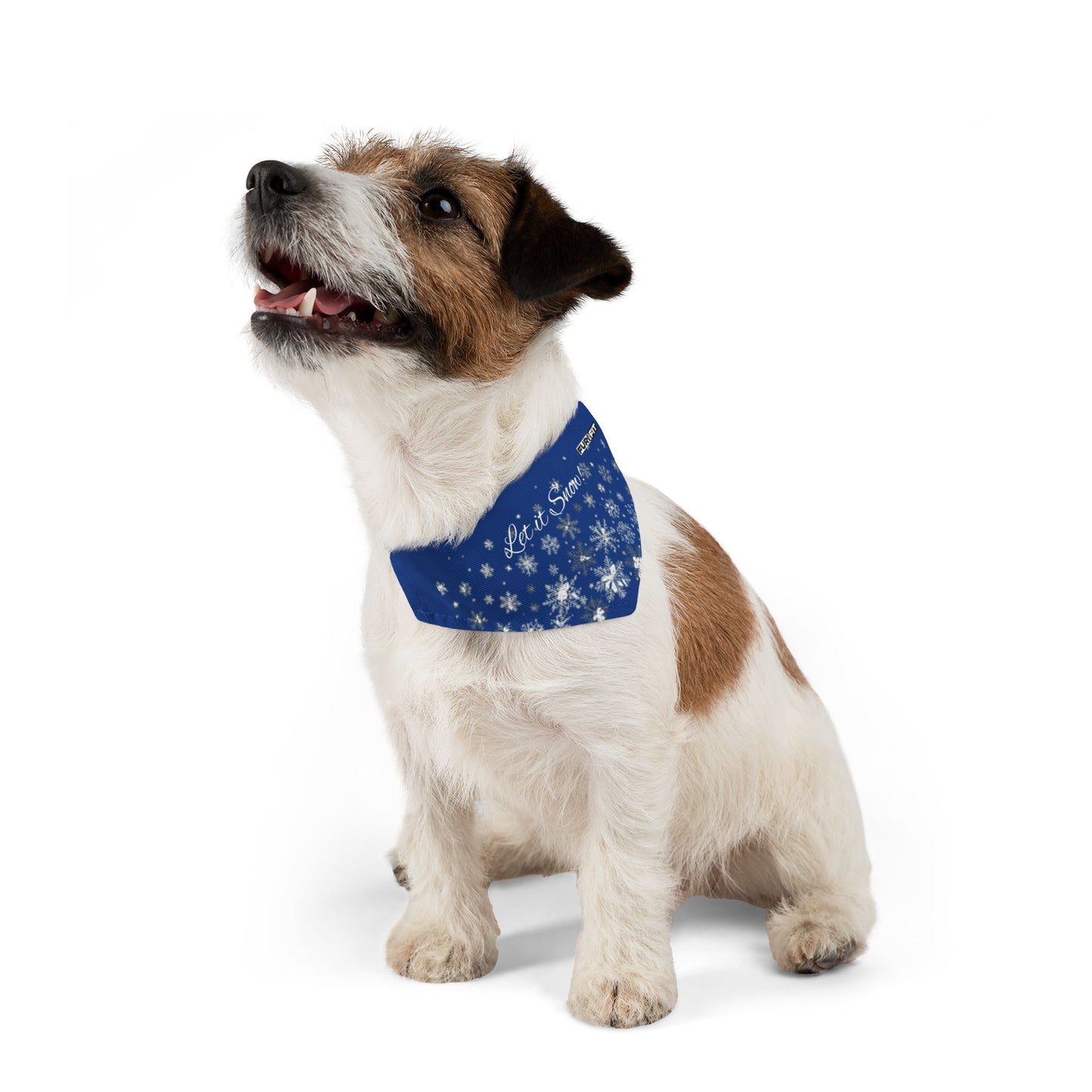 Pet Bandana Collar | "Let it Snow"
