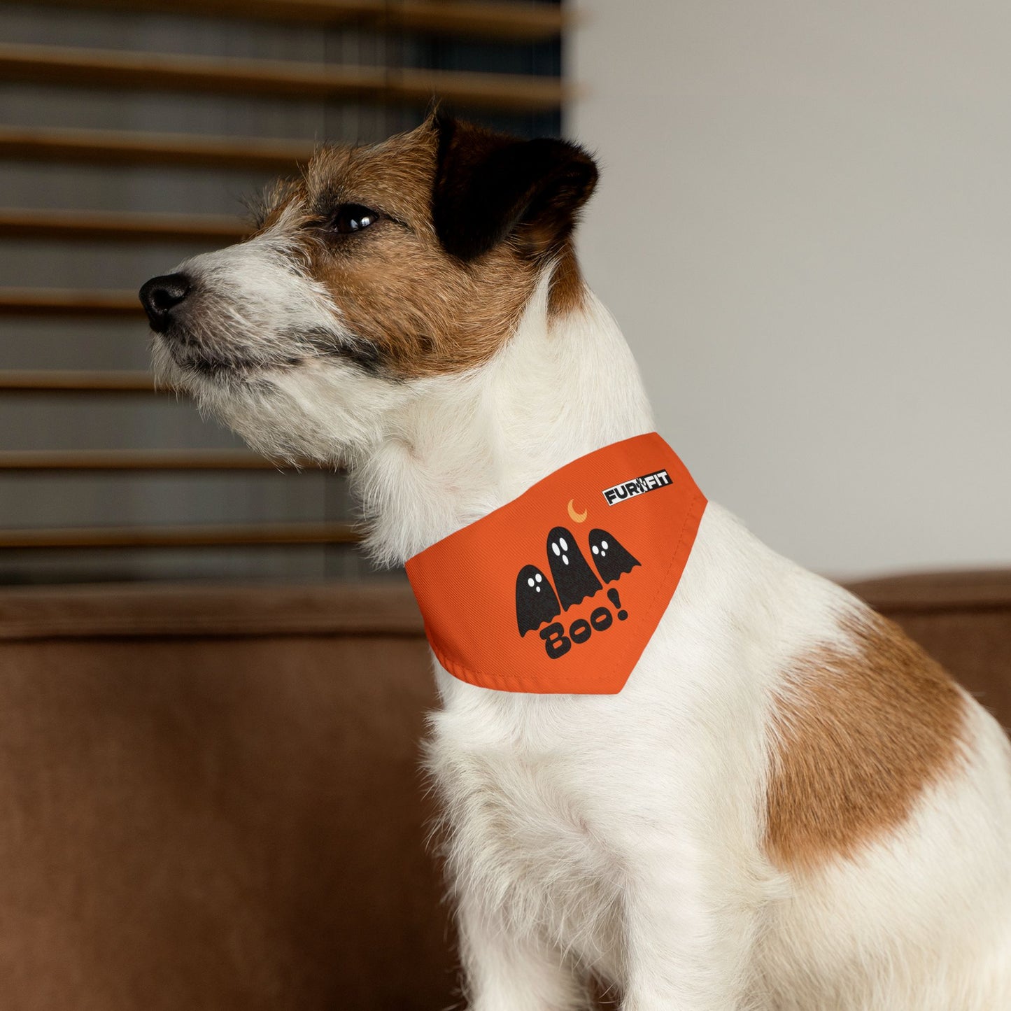 Pet Bandana Collar | "Boo with Ghosts" for Halloween (on Orange)