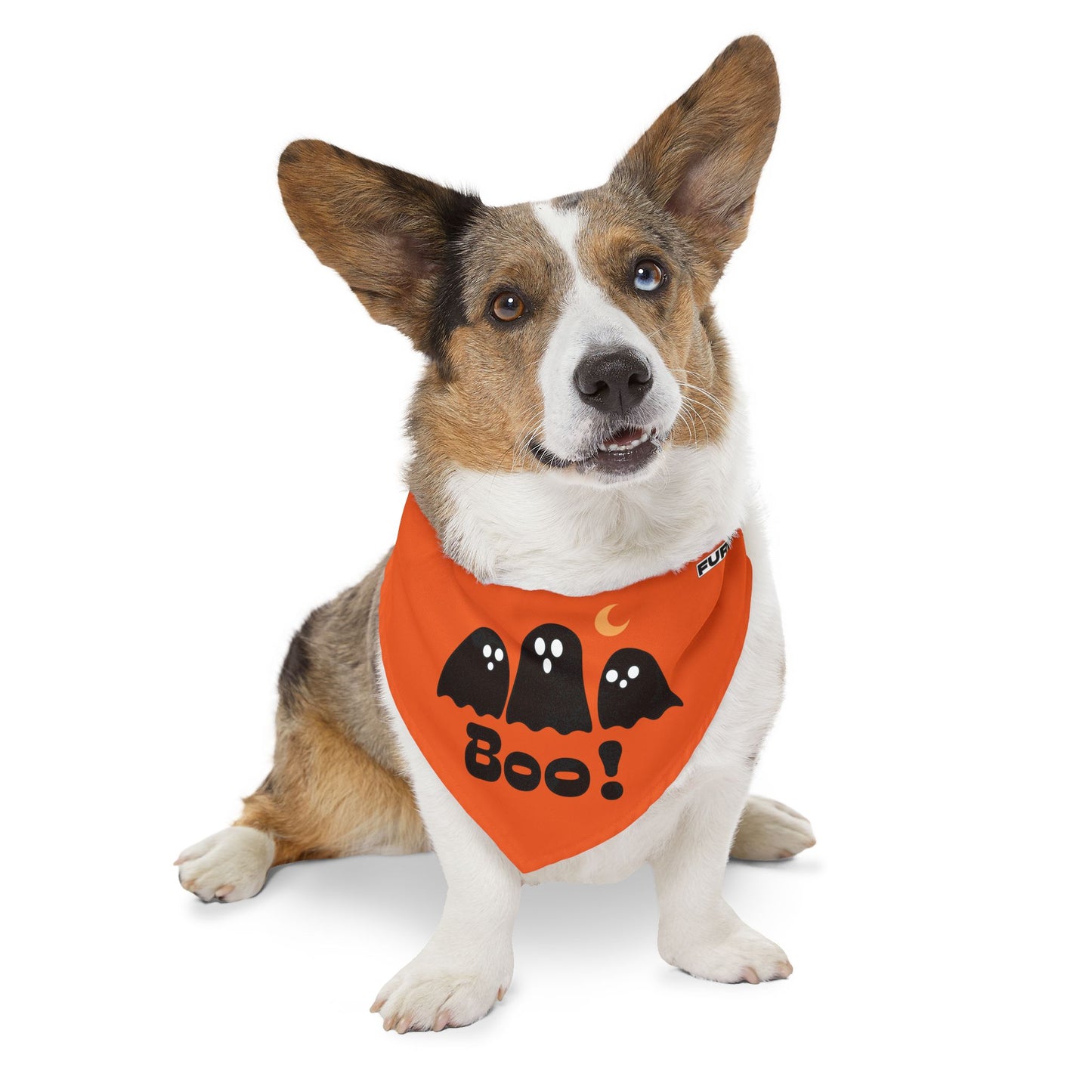 Pet Bandana Collar | "Boo with Ghosts" for Halloween (on Orange)