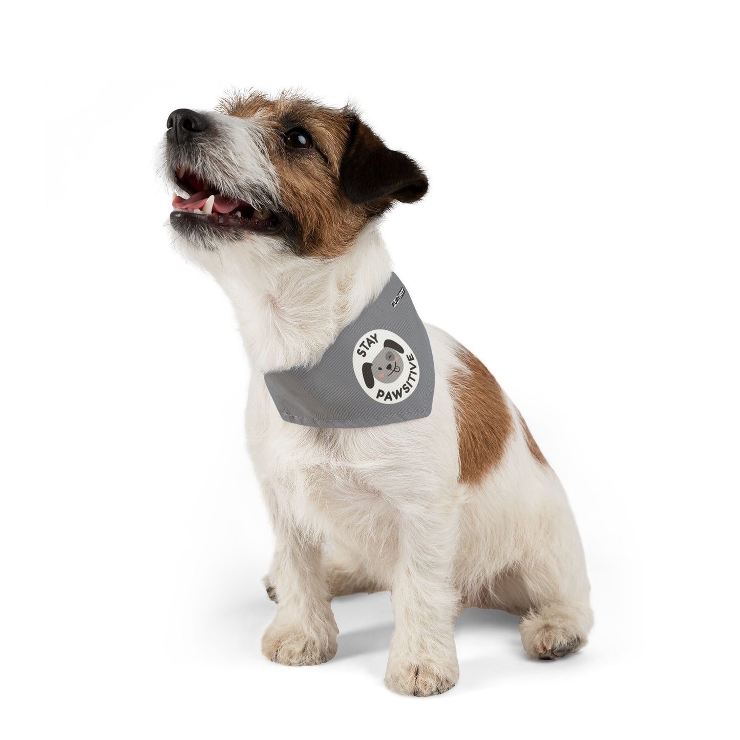 Pet Bandana Collar | "Stay Pawsitive"