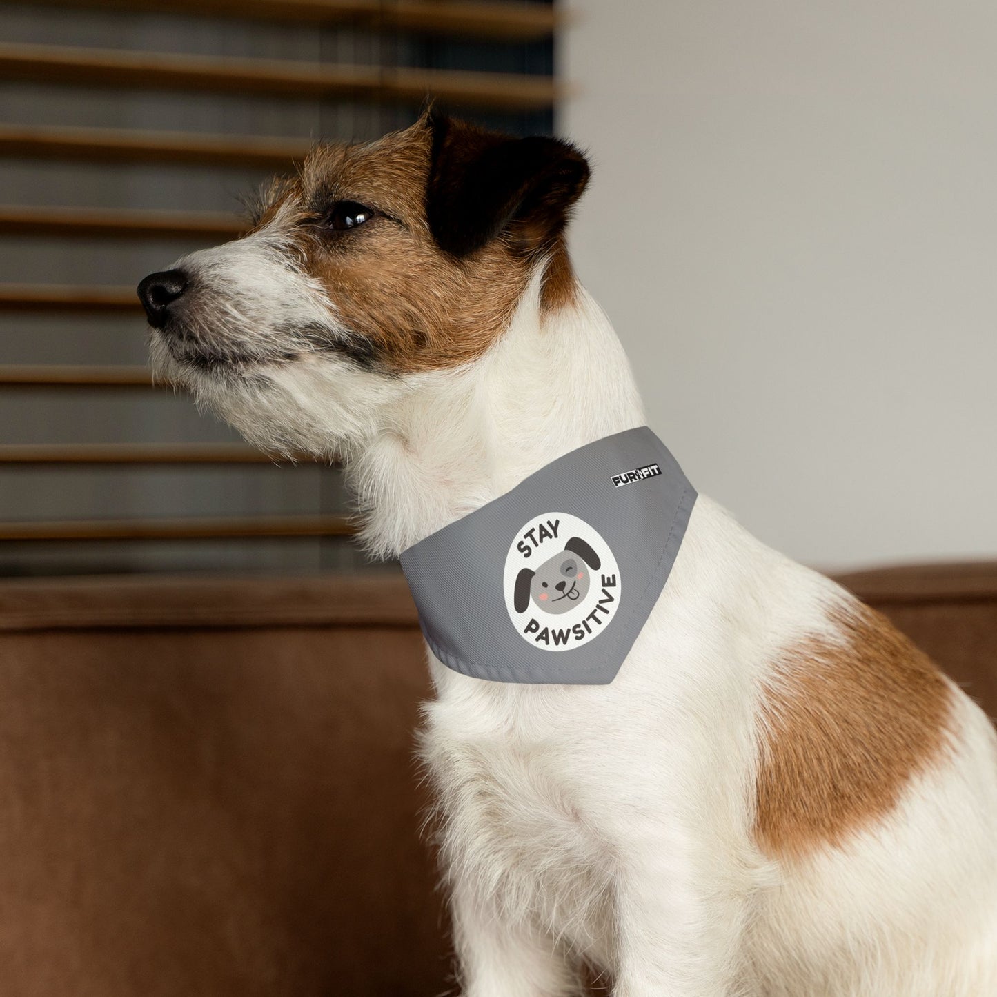 Pet Bandana Collar | "Stay Pawsitive"