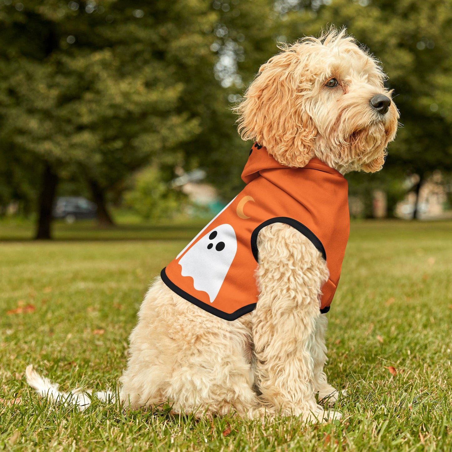 Pet Hoodie | "Trick or Treat" for Halloween (on Orange)