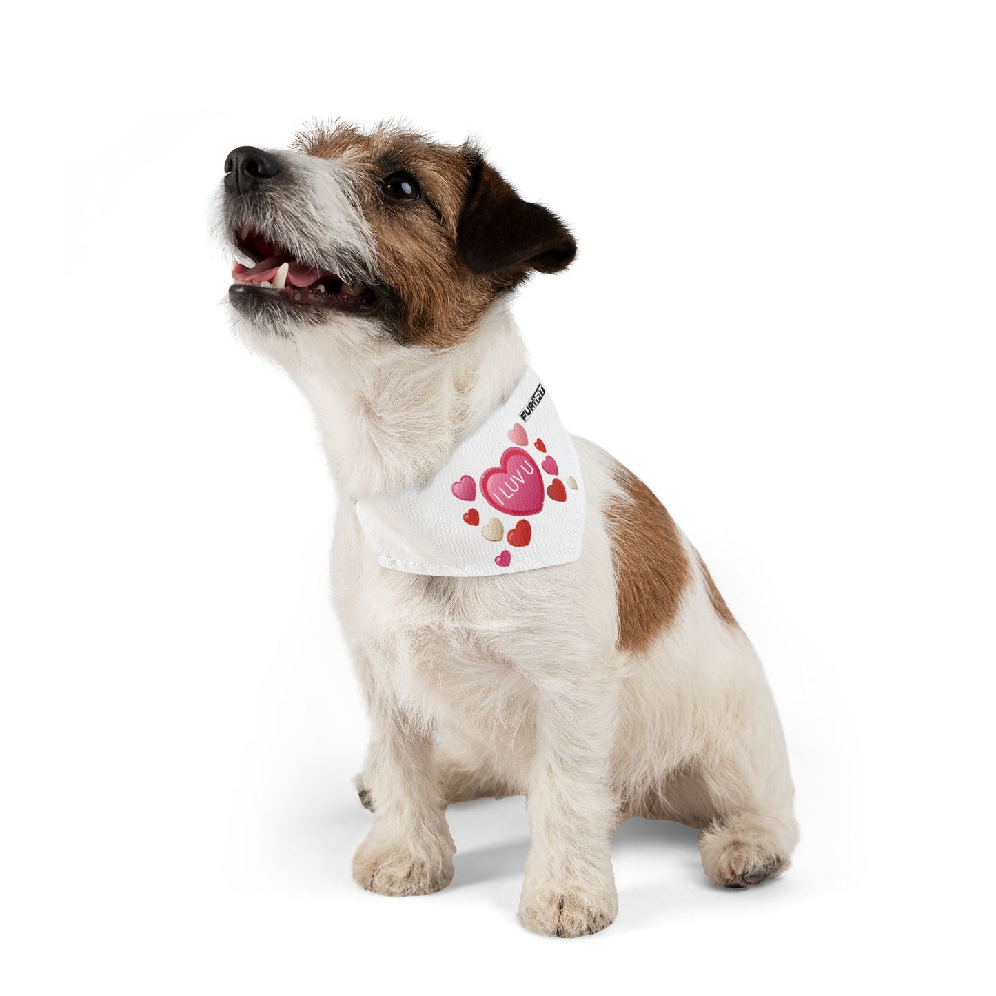 Pet Bandana Collar | "I Luv U" for Valentine's Day
