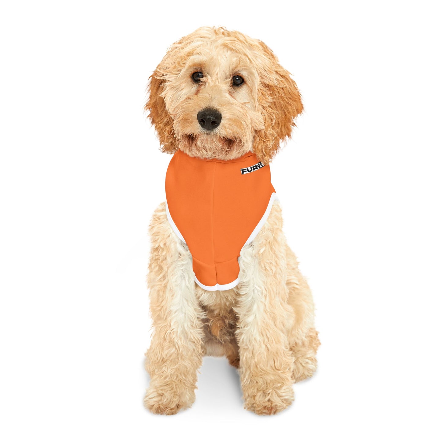 Pet Hoodie | "Trick or Treat" for Halloween (on Orange)