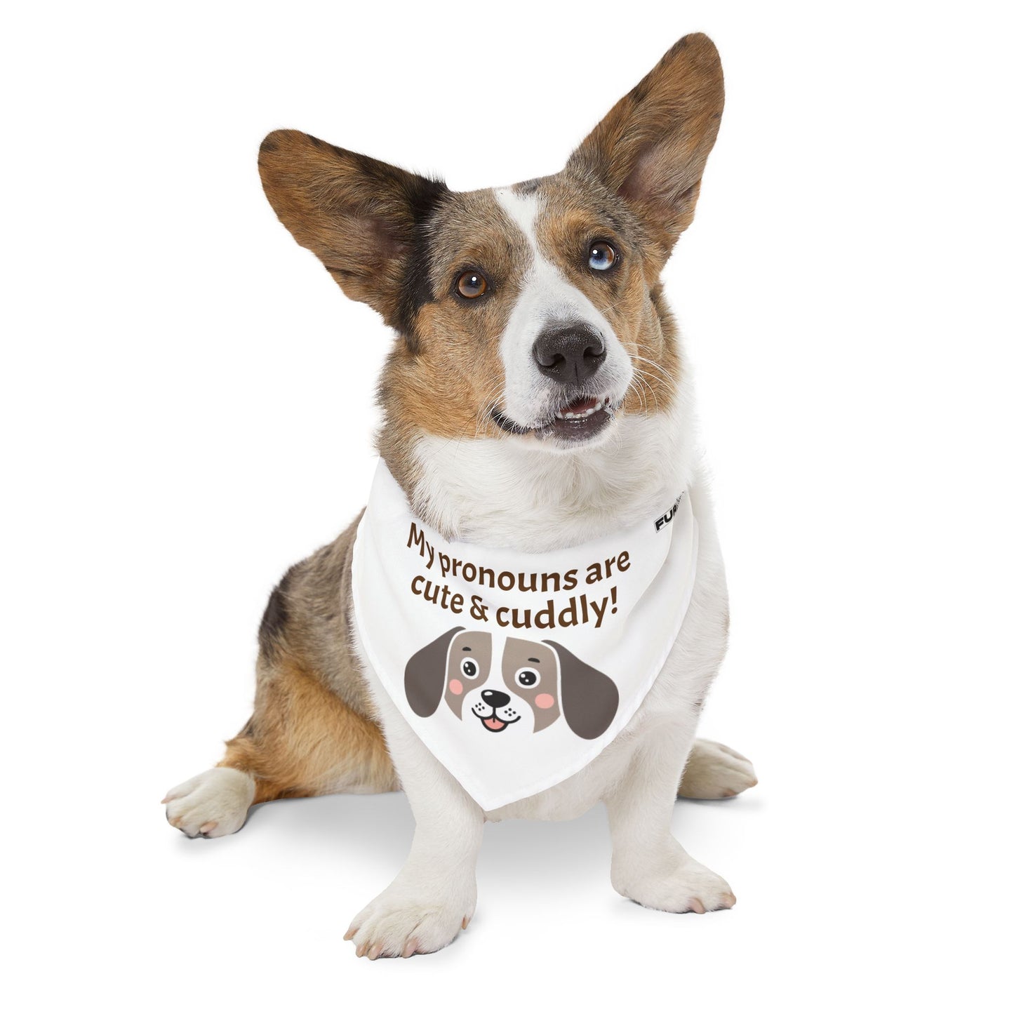 Pet Bandana Collar | "My pronouns are cute & cuddly"