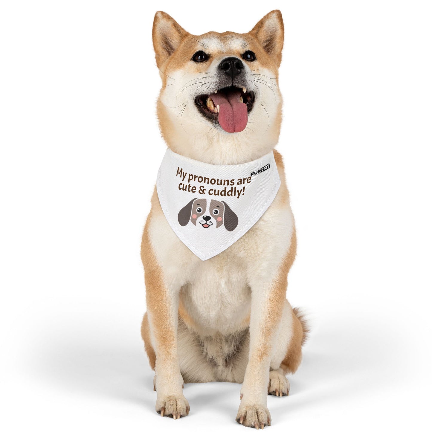 Pet Bandana Collar | "My pronouns are cute & cuddly"