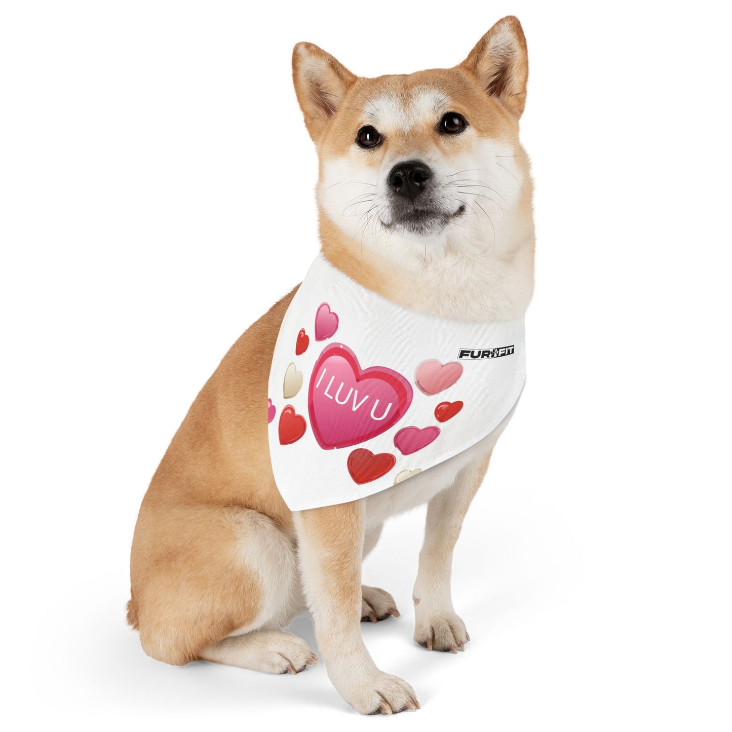 Pet Bandana Collar | "I Luv U" for Valentine's Day