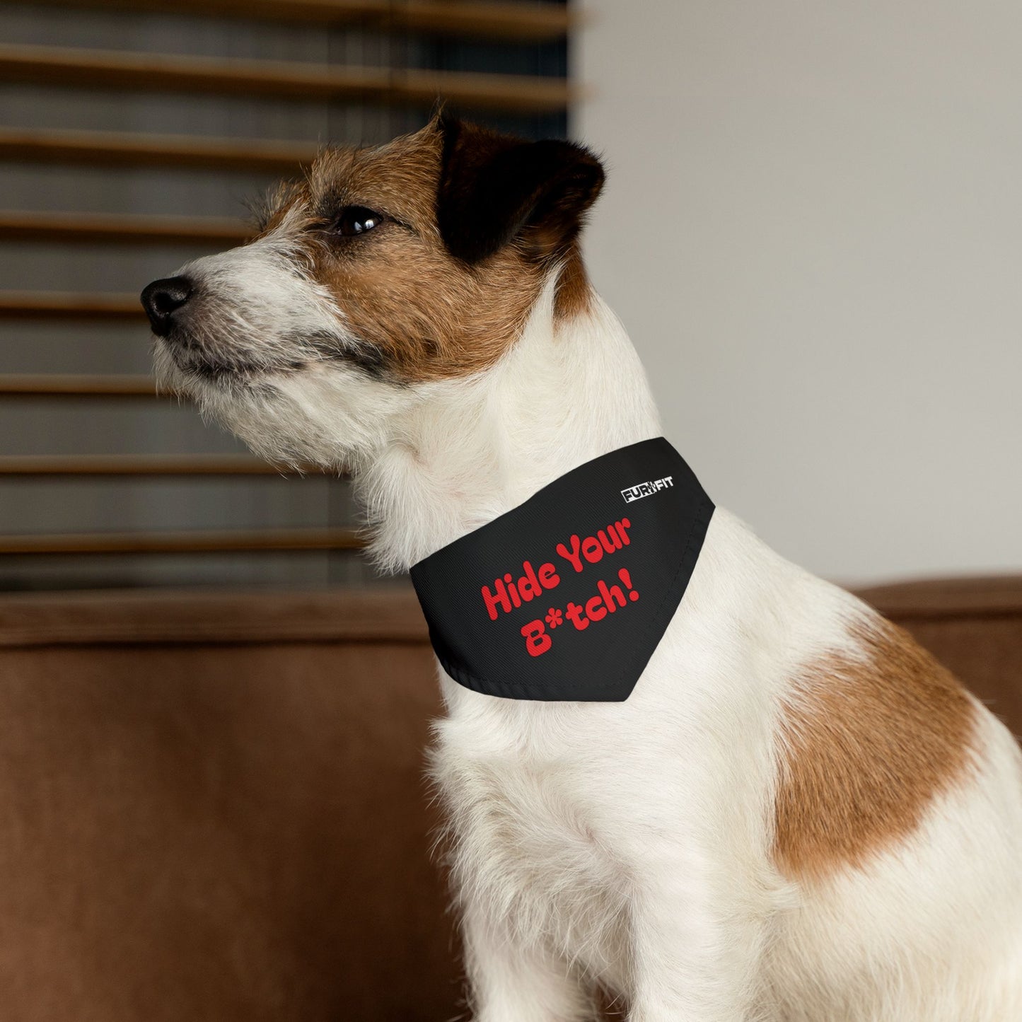 Pet Bandana Collar | "Hide Your B*tch!"