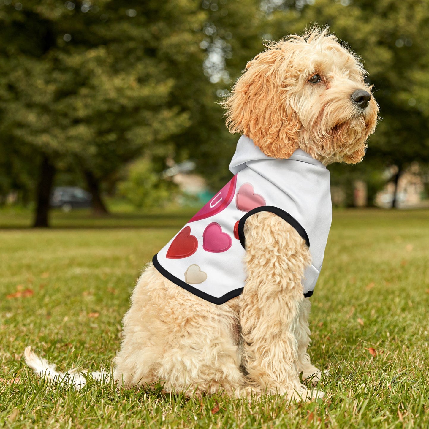 Pet Hoodie | "I Luv U"
