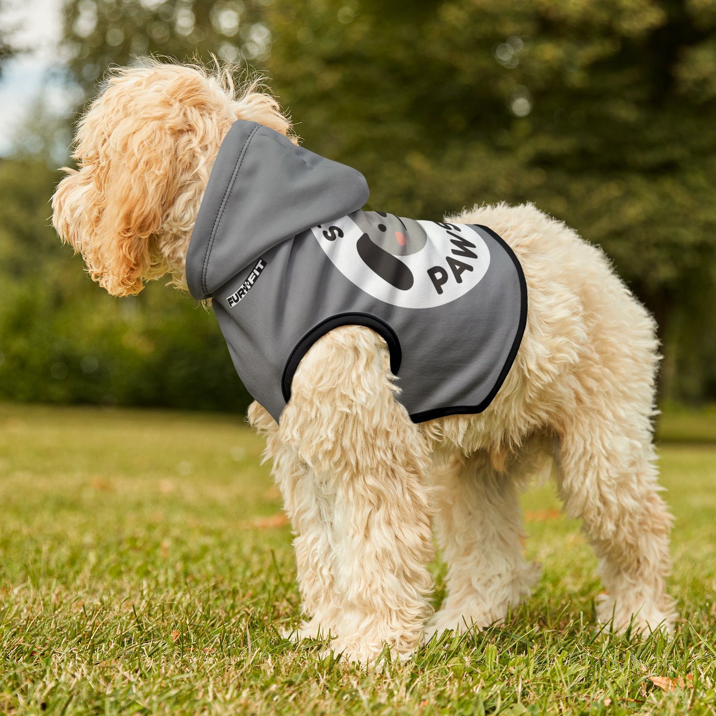 Pet Hoodie | "Stay Pawsitive"