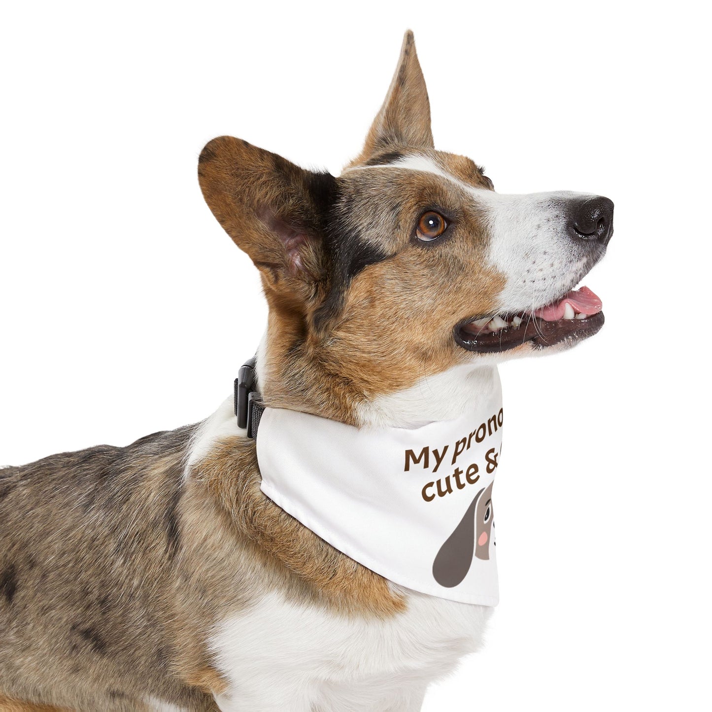Pet Bandana Collar | "My pronouns are cute & cuddly"