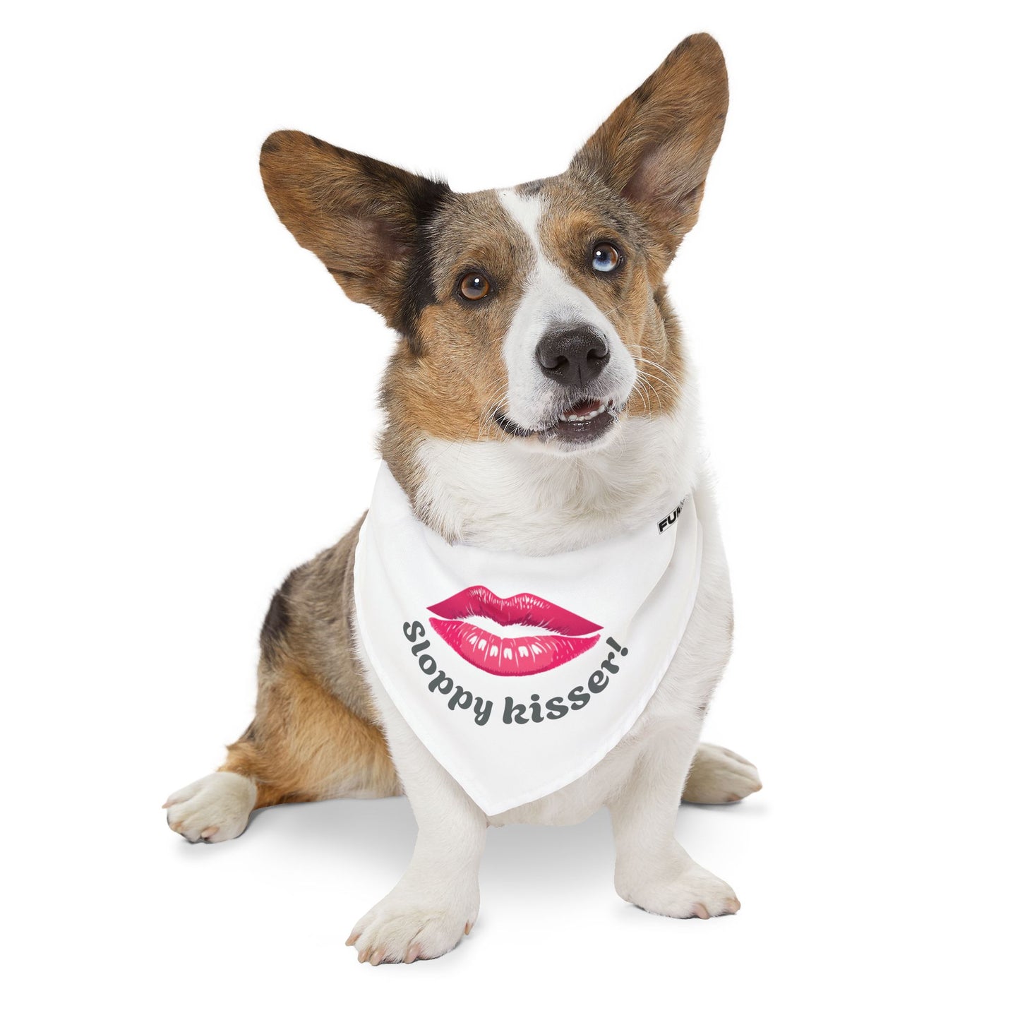 Pet Bandana Collar | "Sloppy Kisser"