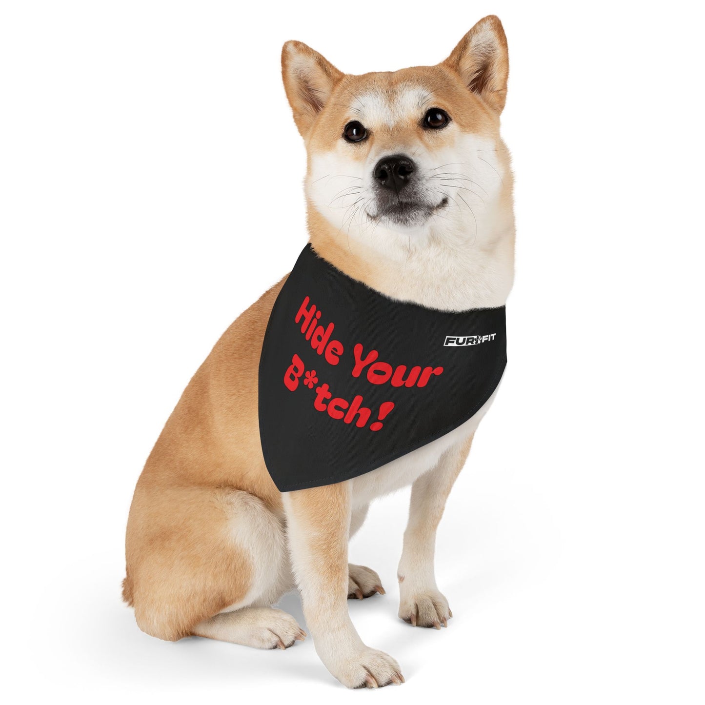 Pet Bandana Collar | "Hide Your B*tch!"