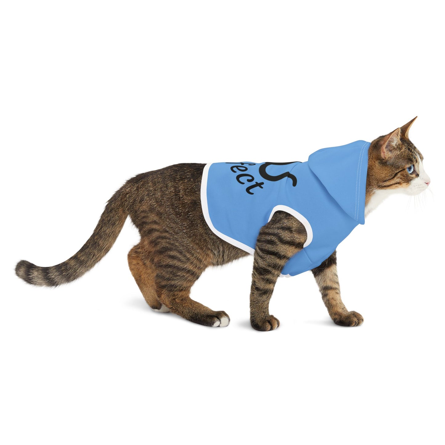 Pet Hoodie | 'Purrr-fect' for Cats