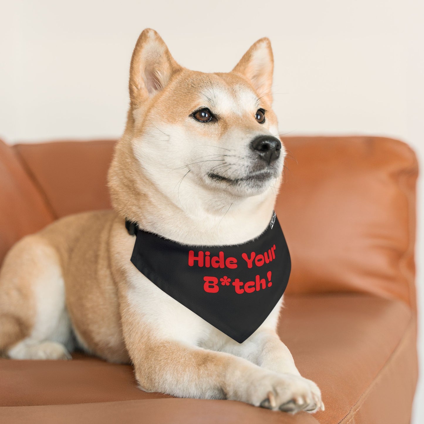 Pet Bandana Collar | "Hide Your B*tch!"