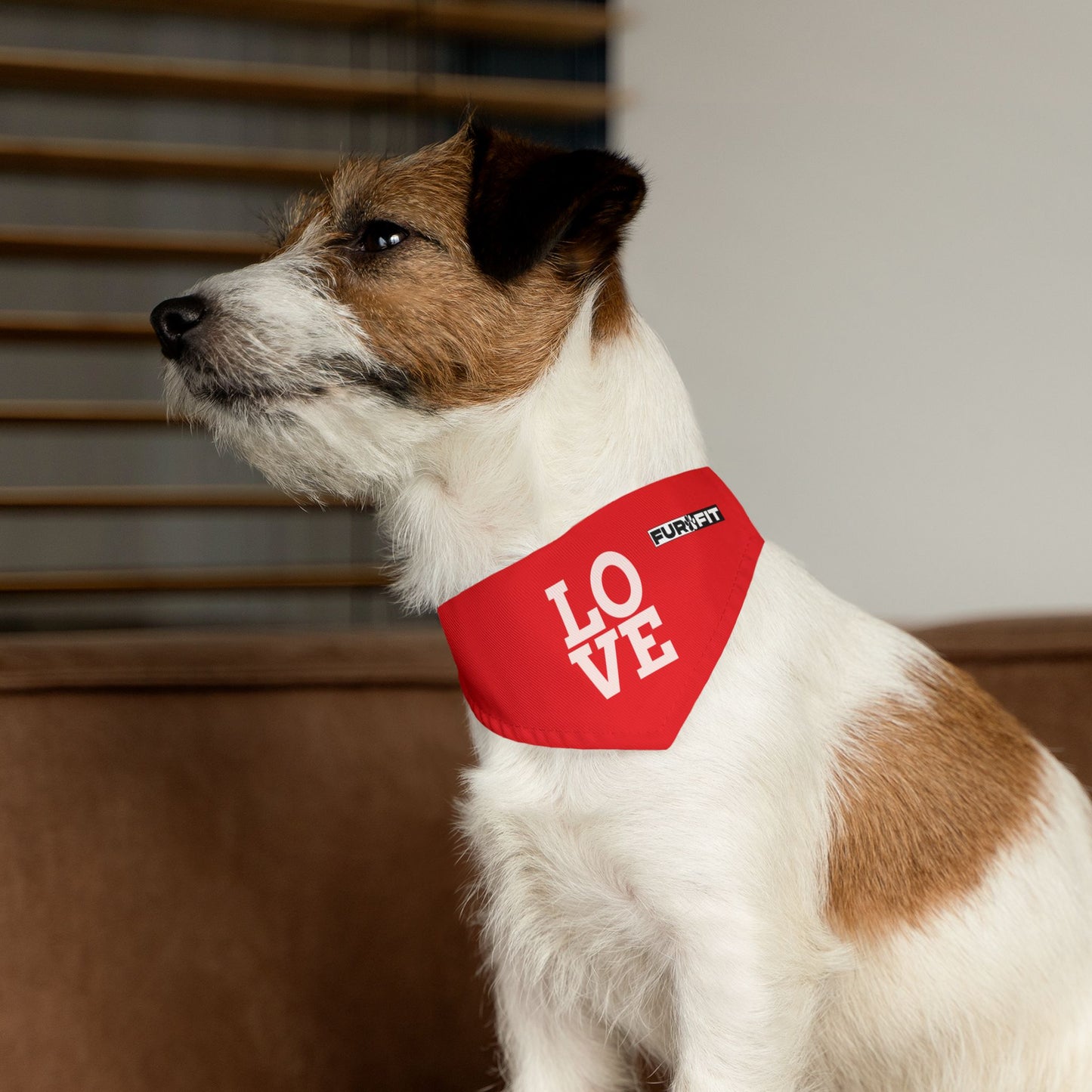 Pet Bandana Collar | "LOVE" (on Red)