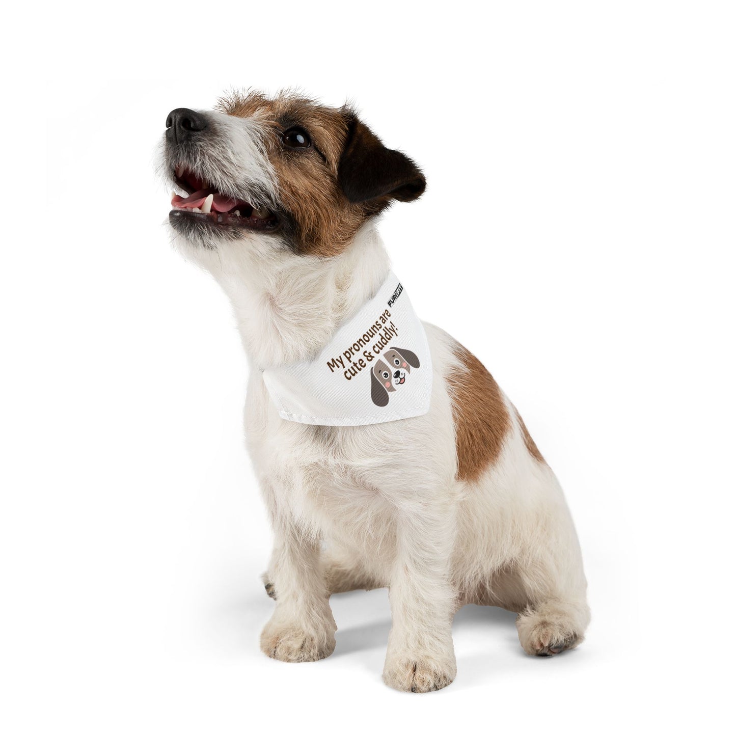 Pet Bandana Collar | "My pronouns are cute & cuddly"