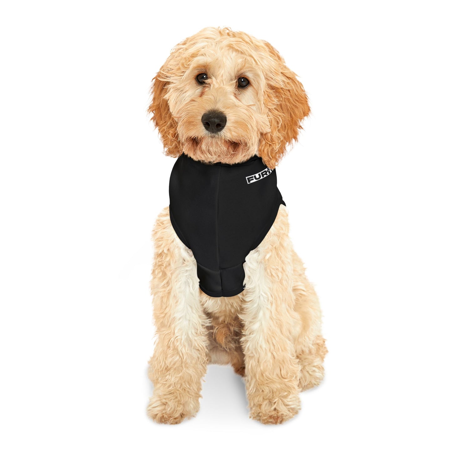 Pet Hoodie | "You are Literally the Only Person I Like"