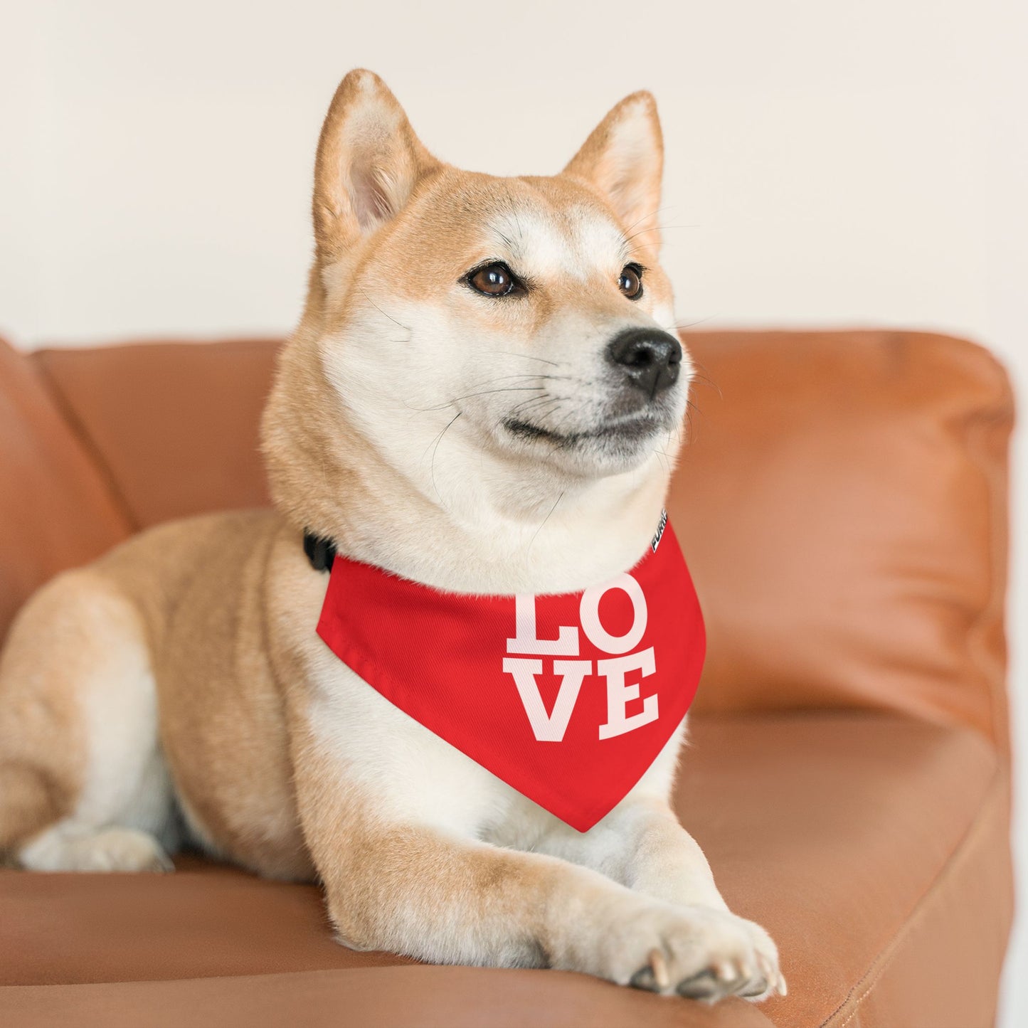 Pet Bandana Collar | "LOVE" (on Red)
