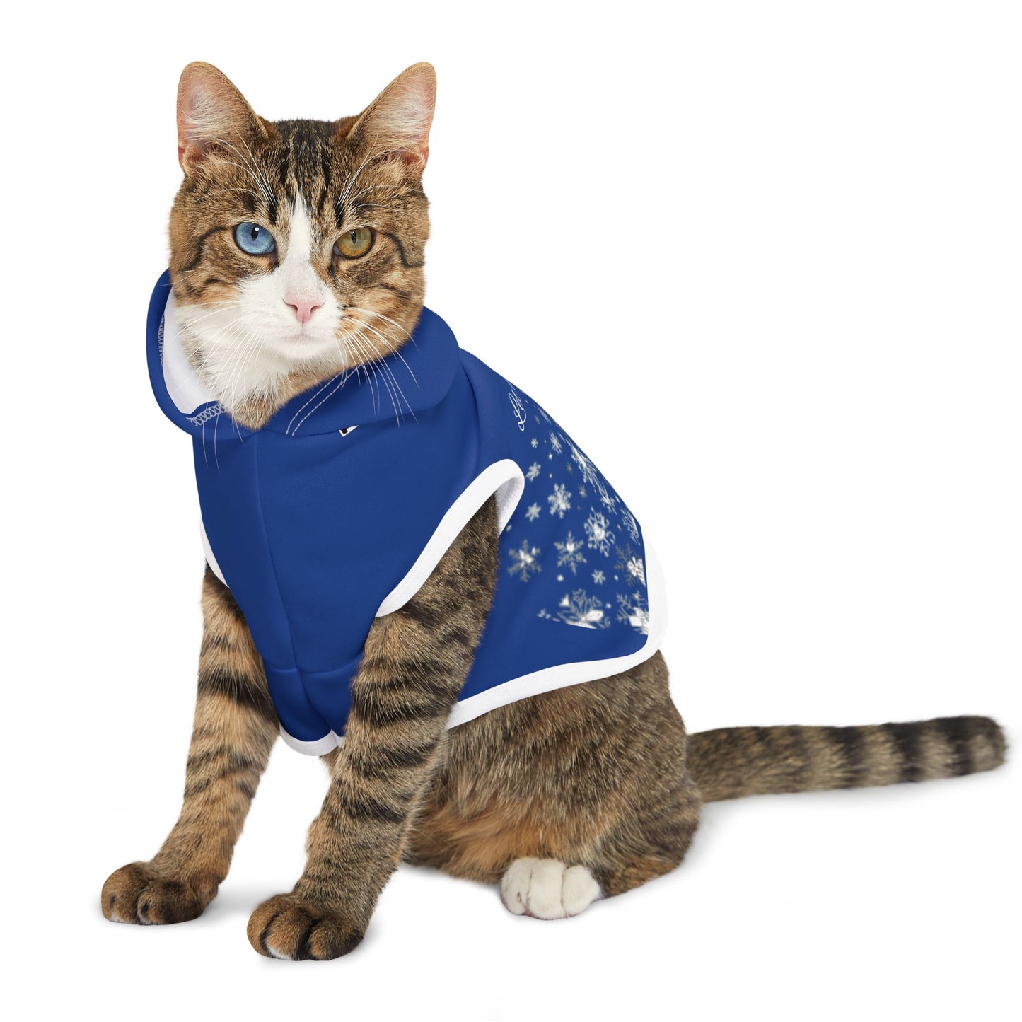 Pet Hoodie  | "Let it Snow!"