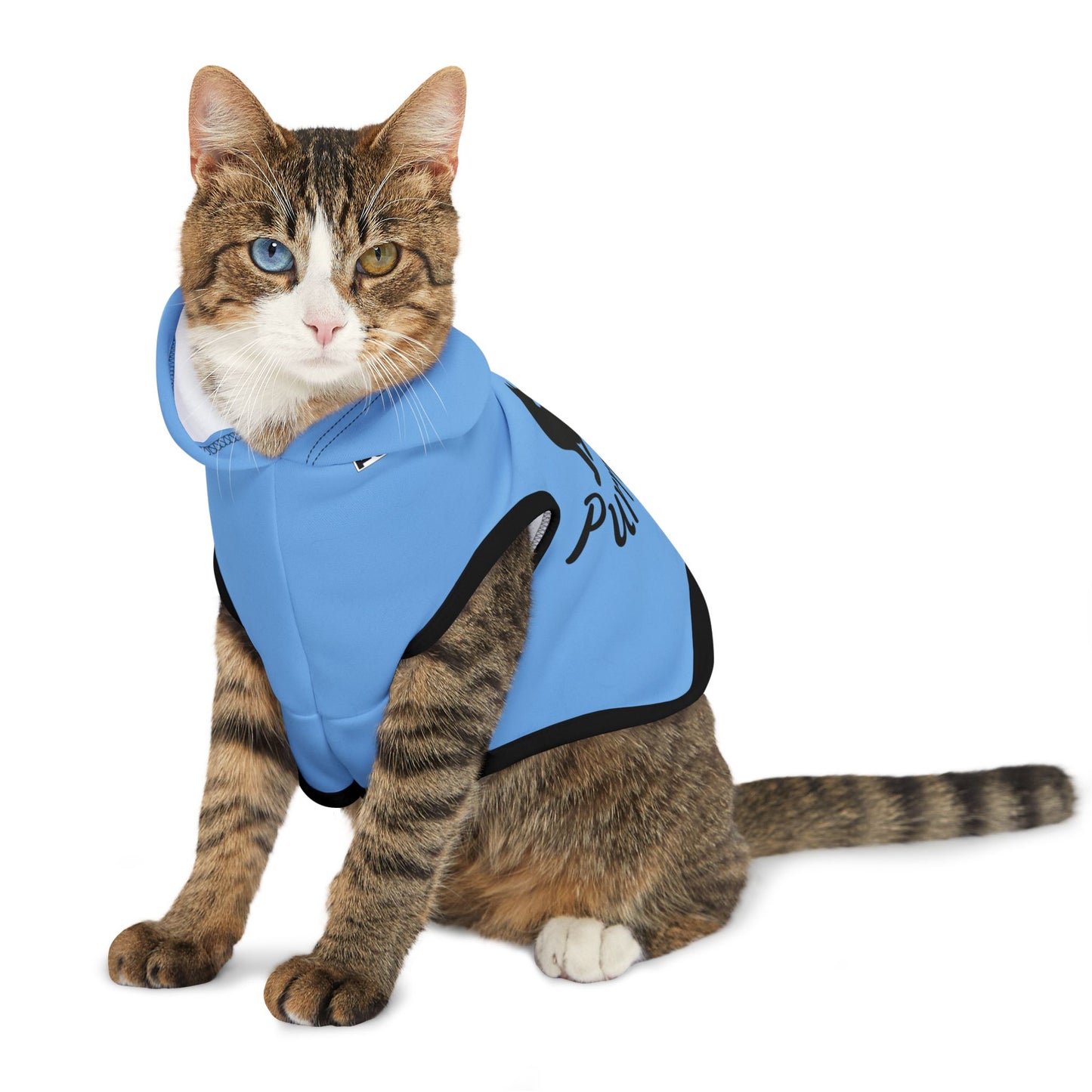 Pet Hoodie | 'Purrr-fect' for Cats