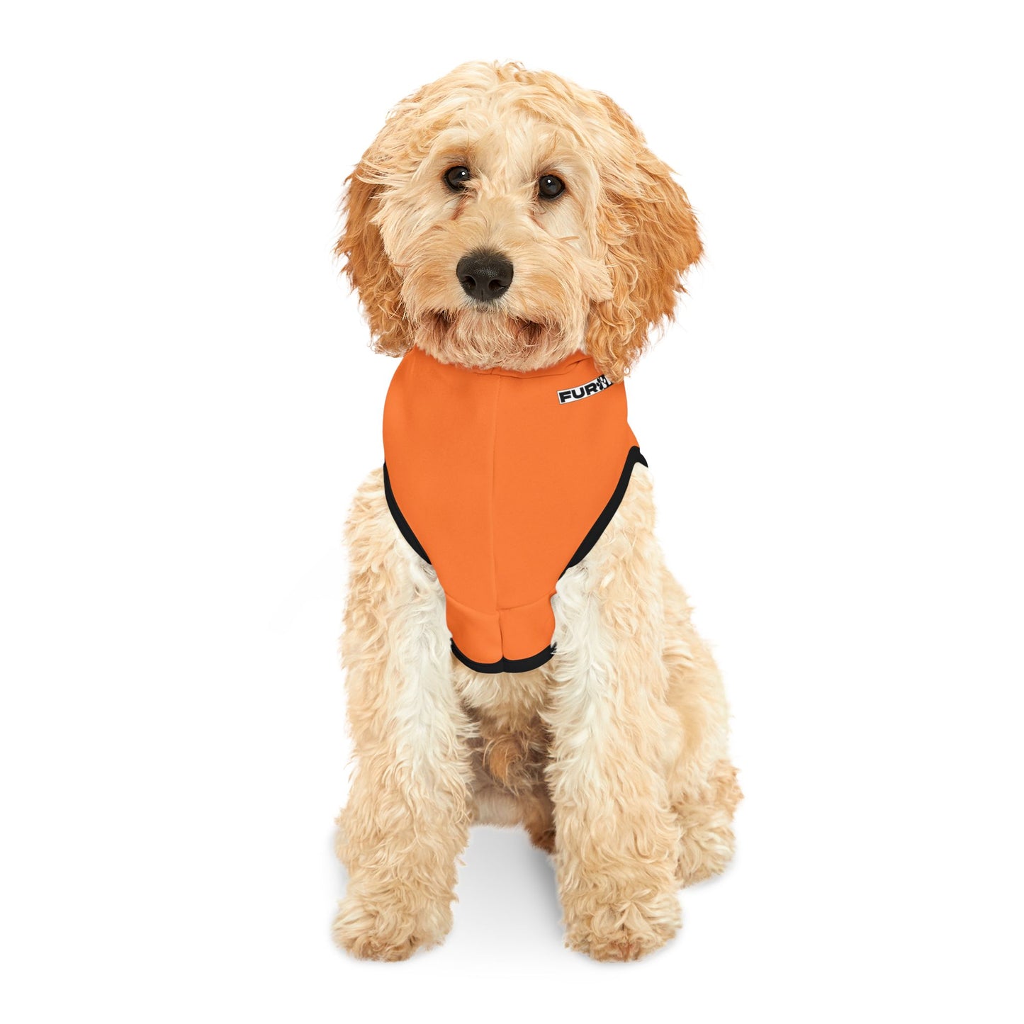 Pet Hoodie | "Trick or Treat" for Halloween (on Orange)