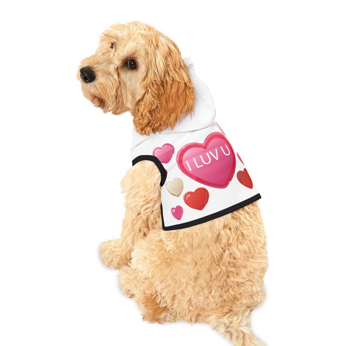 Pet Hoodie | "I Luv U" with Candy Hearts