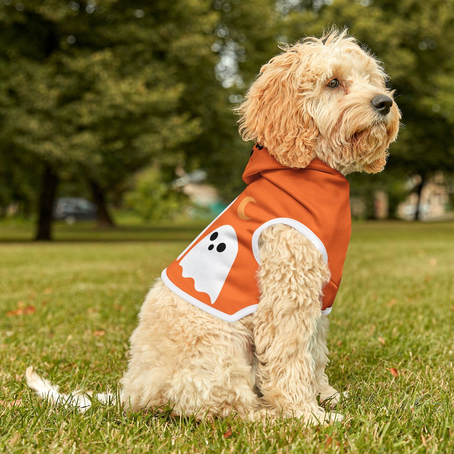 Pet Hoodie | "Trick or Treat" for Halloween (on Orange)
