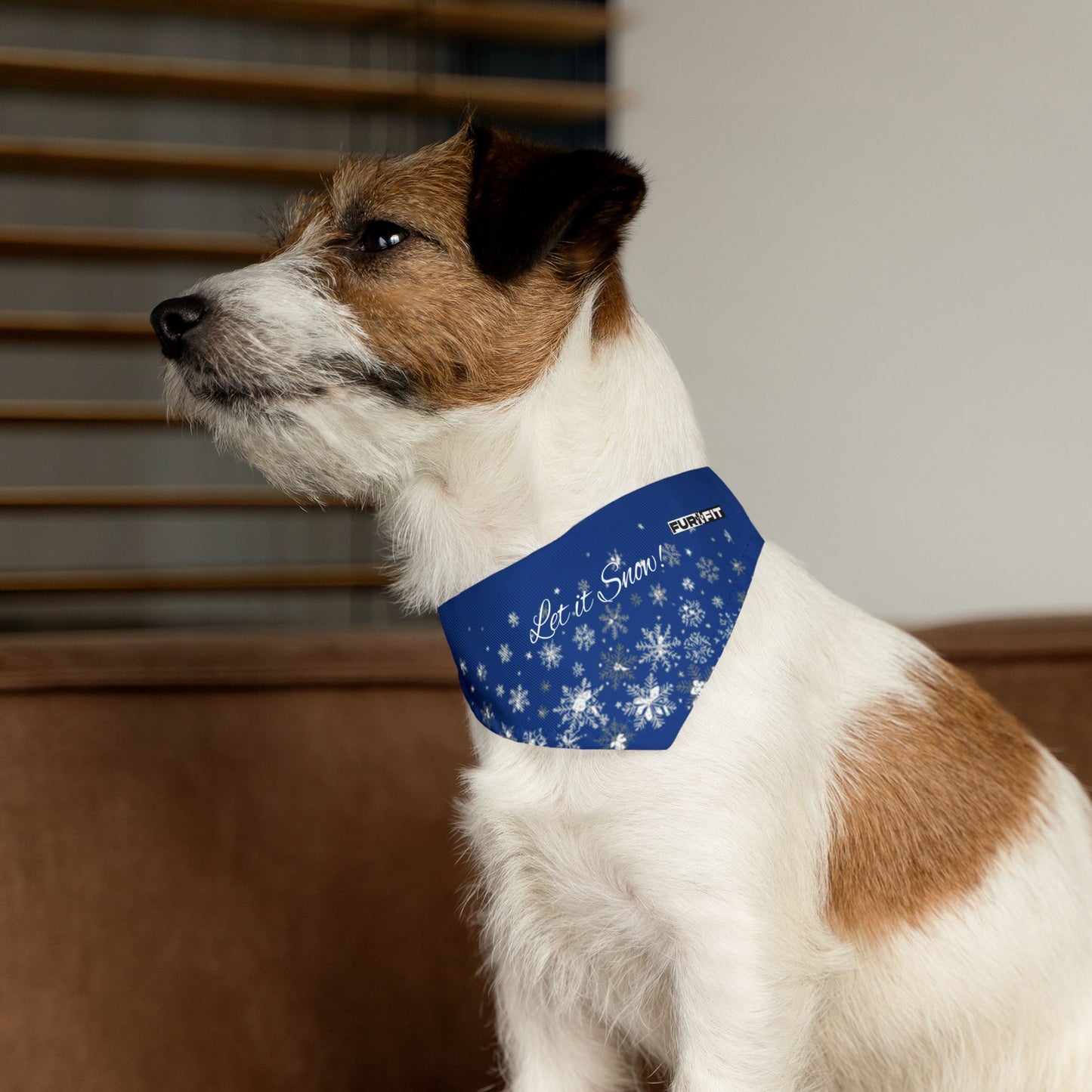 Pet Bandana Collar | "Let it Snow"