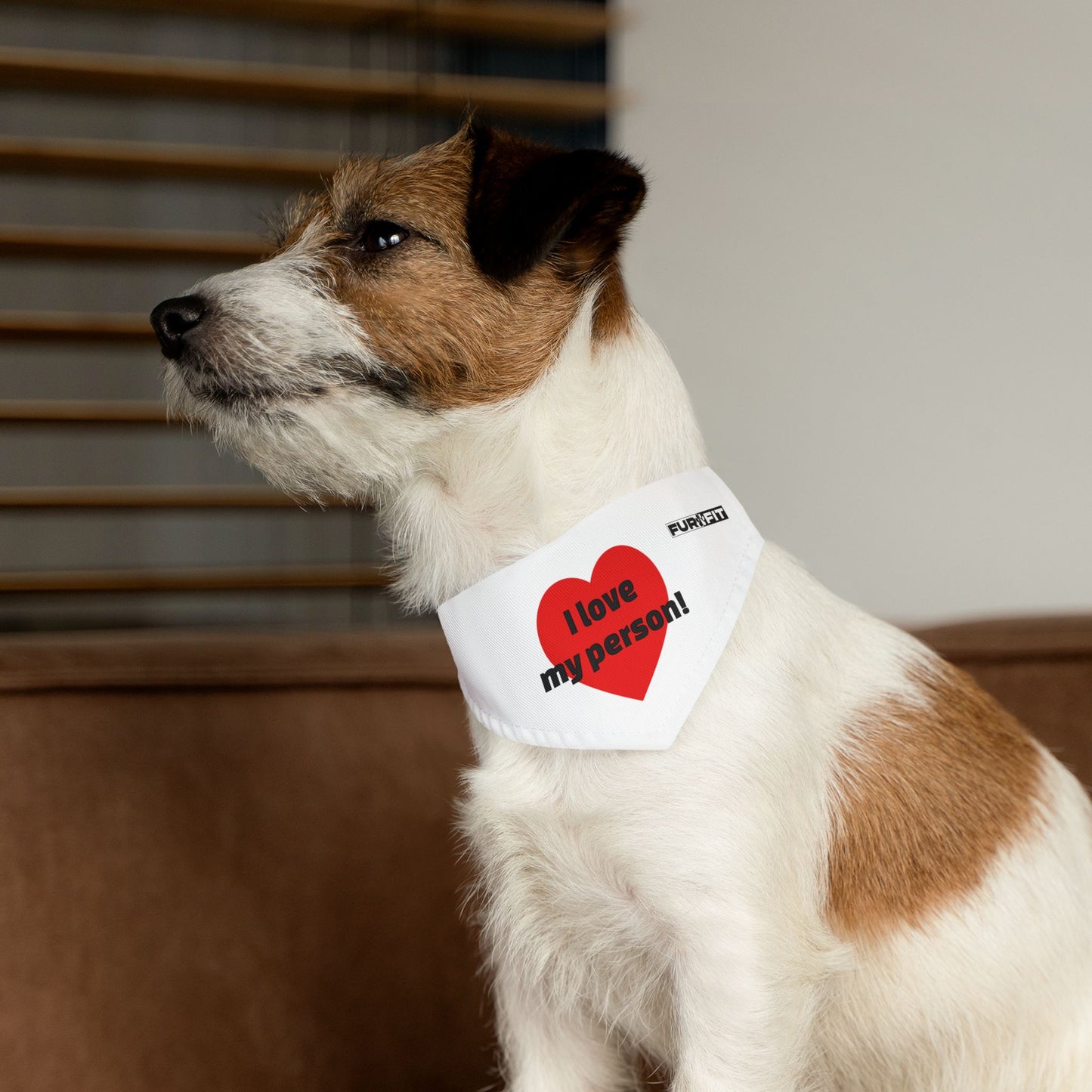 Pet Bandana Collar | "I love my person!"