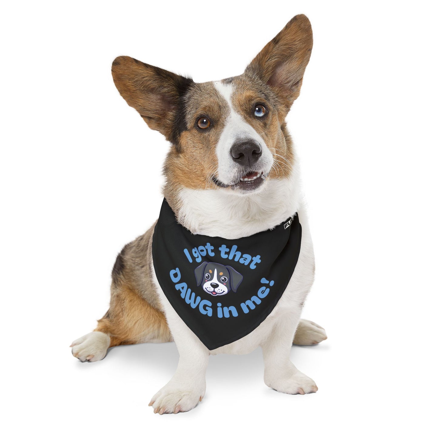Pet Bandana Collar | "I got that Dawg in me!"
