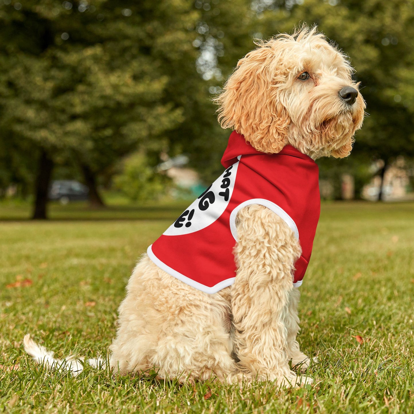 Pet Hoodie | "I Got That Dawg In Me"