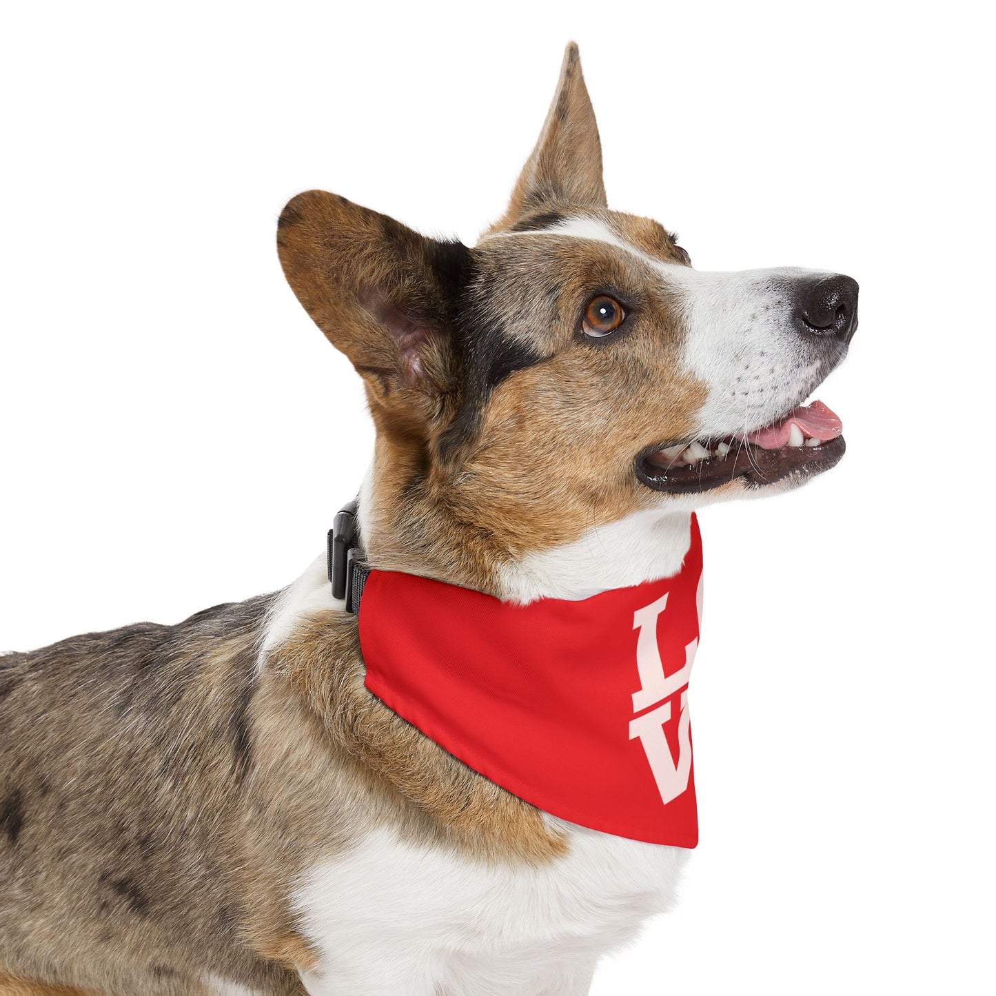 Pet Bandana Collar | "LOVE" (on Red)