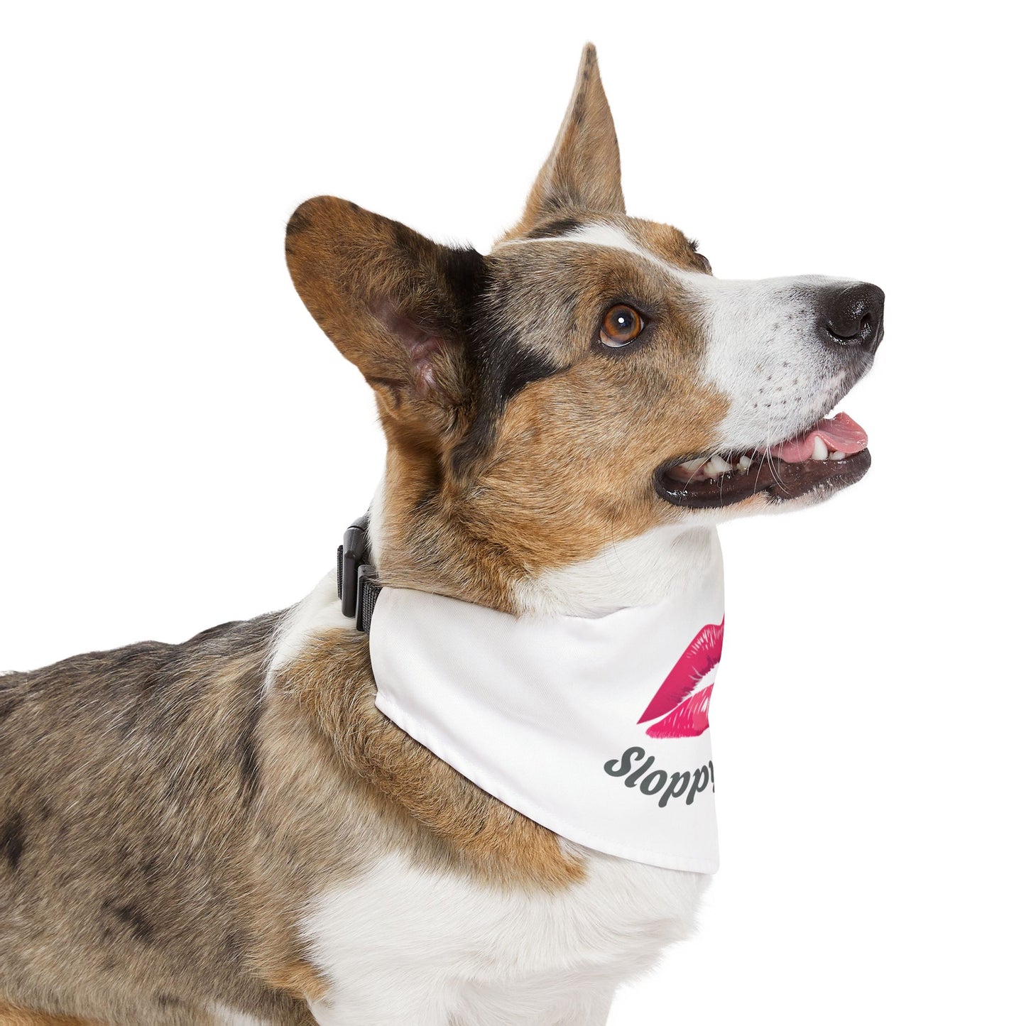 Pet Bandana Collar | "Sloppy Kisser"